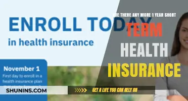 Exploring Short-Term Health Insurance Options: 1-Year Plans Still Available?
