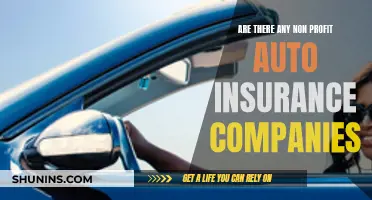 Non-Profit Auto Insurance: Does It Exist?