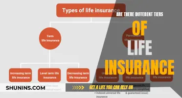 Life Insurance Tiers: Understanding the Different Levels of Coverage