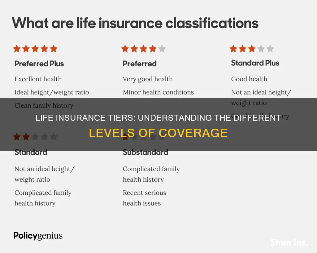 are there different tiers of life insurance