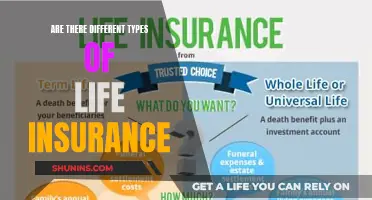 Life Insurance Options: Understanding the Different Types