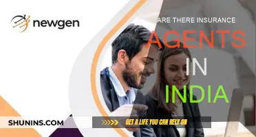 Insurance Agents in India: Available or Not?