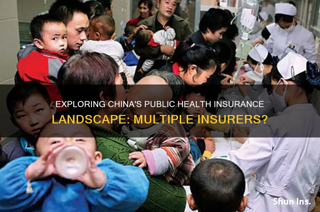 are there multiple public health insurers in china
