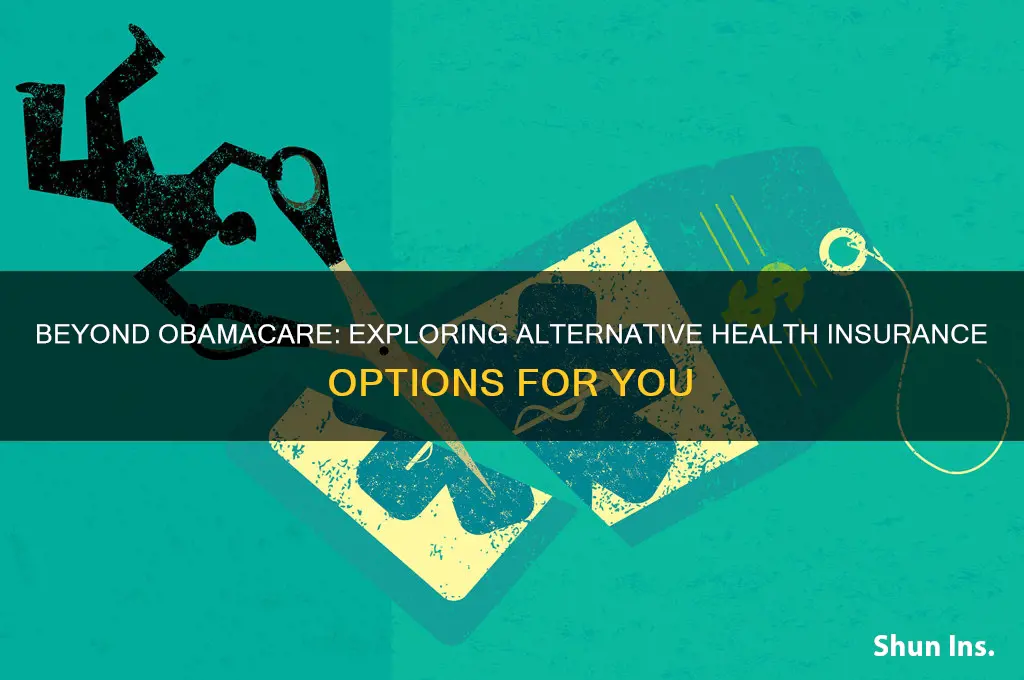 are there other health insurance options besides obamacare