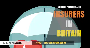 Exploring Private Health Insurance Options in Britain: What You Need to Know