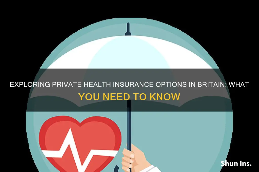 are there private health insurers in britain