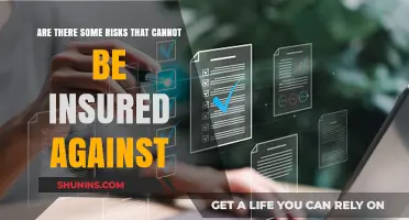 Uninsurable Risks: What Can't Be Covered?