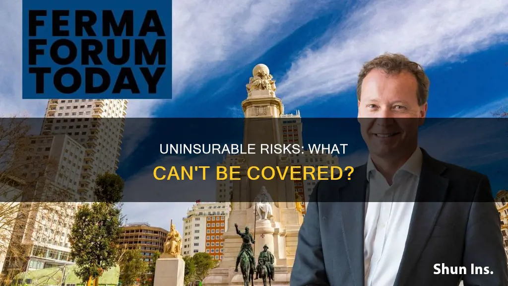are there some risks that cannot be insured against