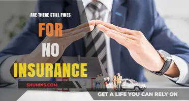 Insurance Fines: What You Need to Know