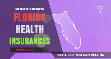 Affordable Florida Health Insurance Options for Low-Income Residents