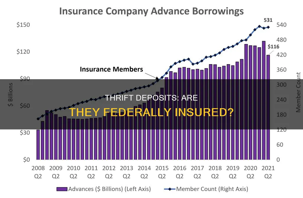 are thrifts federally insured