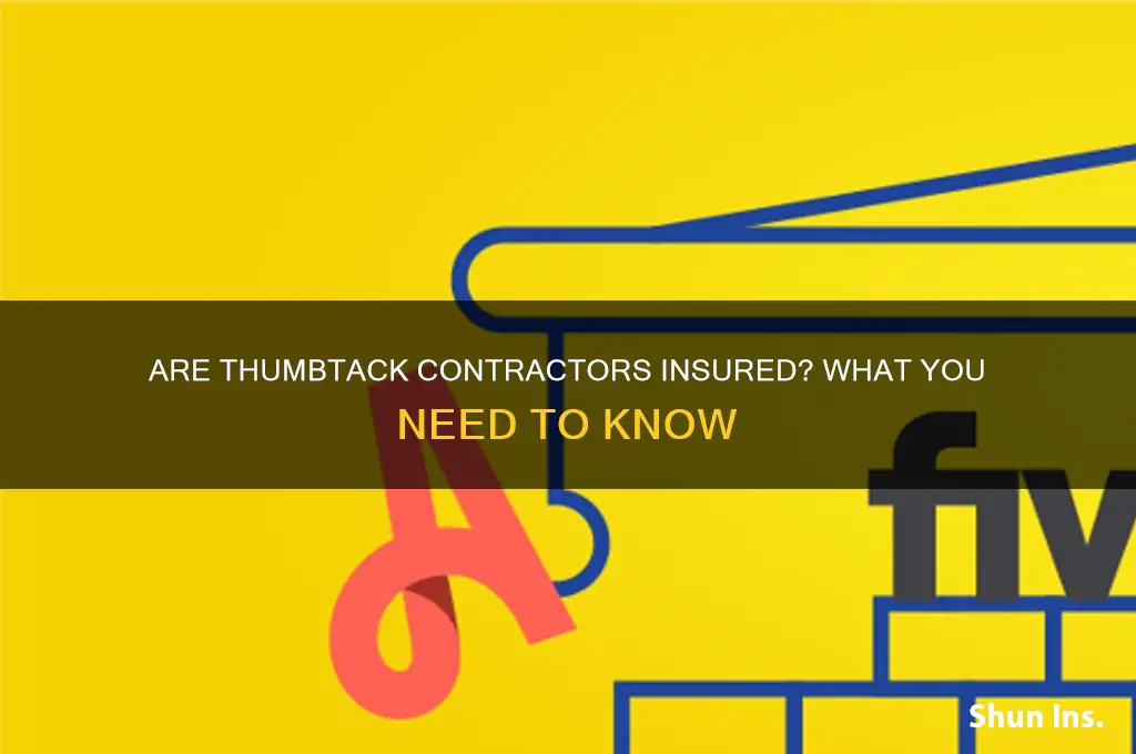 are thumbtack contractors insured