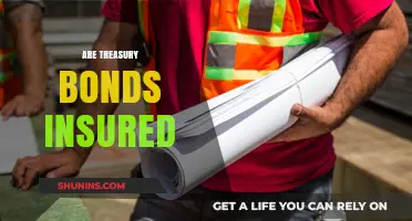 Are Treasury Bonds Insured? Understanding Safety and Protection for Investors