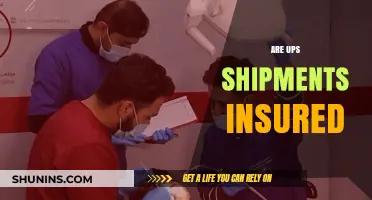 Are UPS Shipments Insured? Understanding Coverage and Protection Options