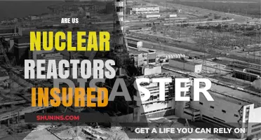 Nuclear Reactors: Insured Against the Unthinkable?