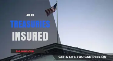 US Treasuries: Are They Insured and Protected?