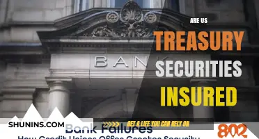 Treasury Securities: Are They Insured?