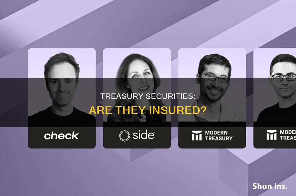 are us treasury securities insured