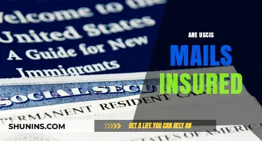 USCIS Mail Services: Are Your Documents Safe?