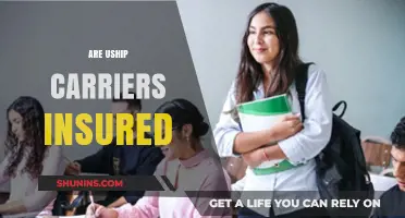 Uship Carriers: Are They Insured?
