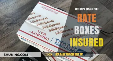 Flat-Rate Shipping Insurance: What's Covered by USPS?