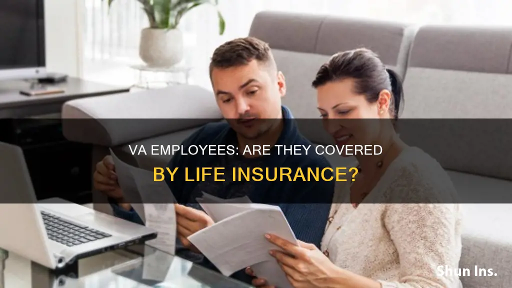 are va emplyees insured for life insurance