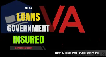 VA Loans: Government Insurance and Veteran Benefits