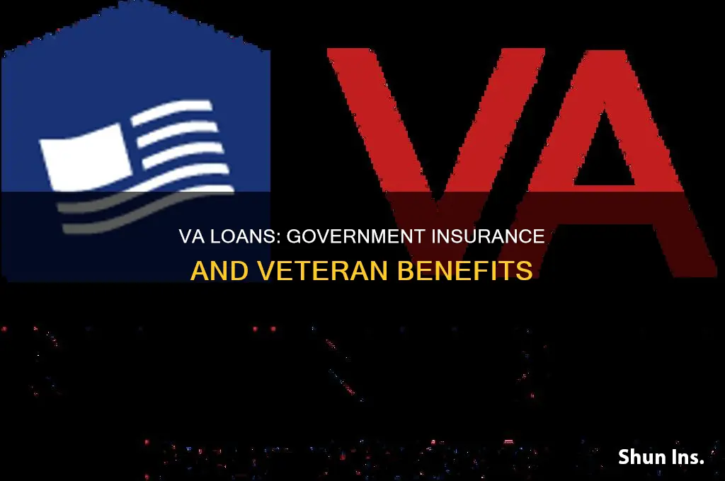 are va loans government insured