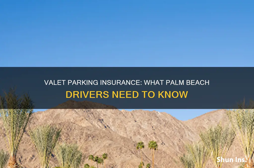 are valet parking insured in palm beach