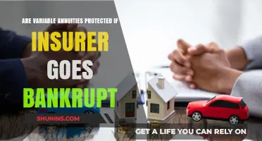 Variable Annuities: Insurer Bankruptcy Protection
