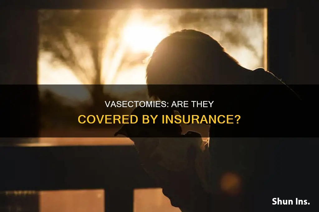 are vasectomies paid for by insurance