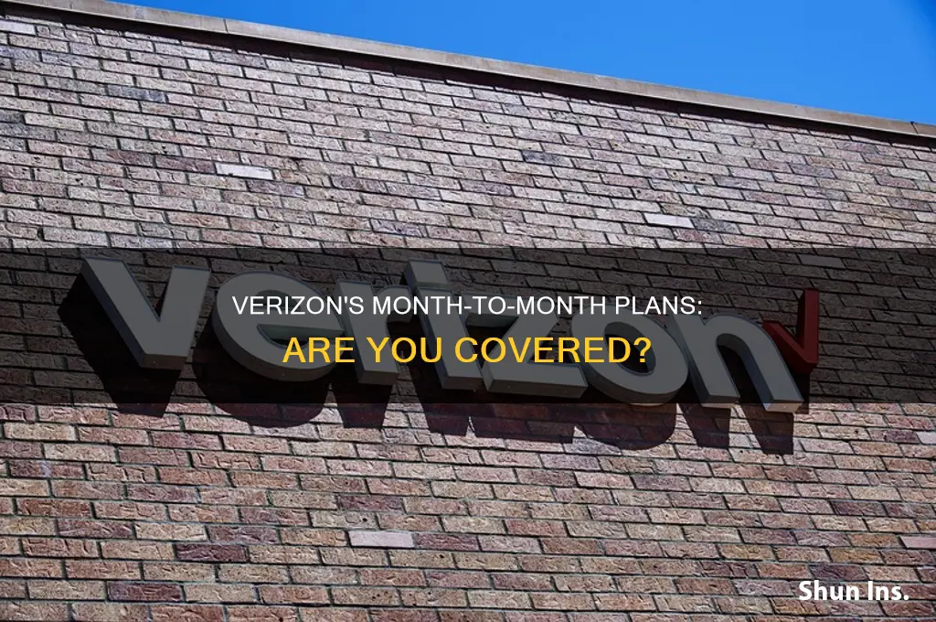 are verizon month to month insured