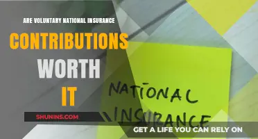 Voluntary National Insurance: Worth the Extra Cost?