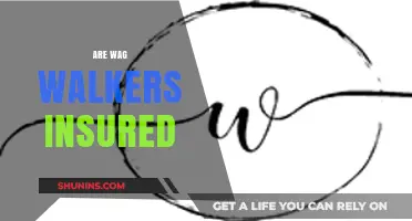 Wag Walkers: Are They Insured?