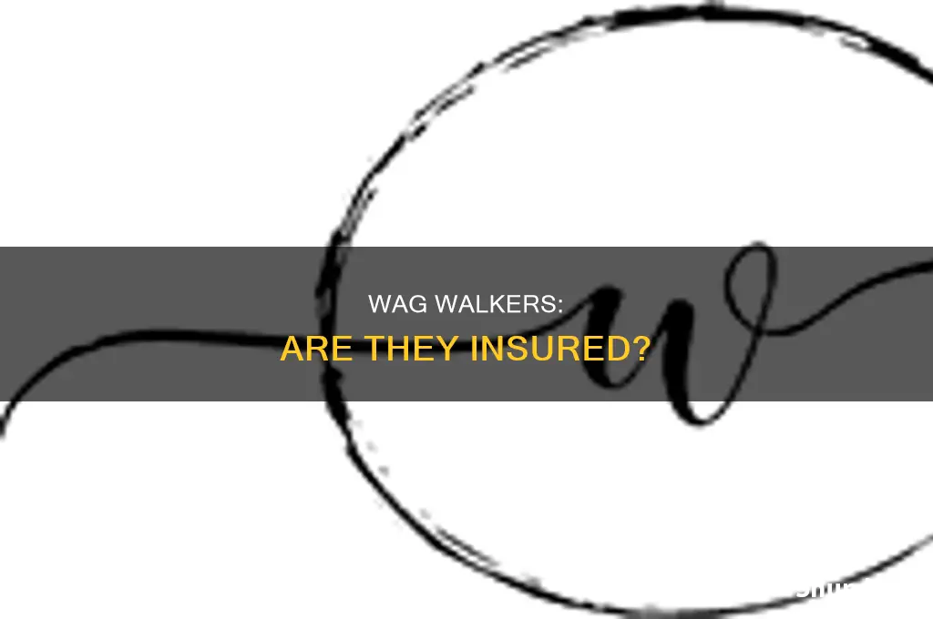 are wag walkers insured