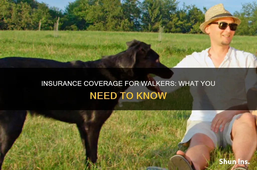 are walkers reimbursed by insurance