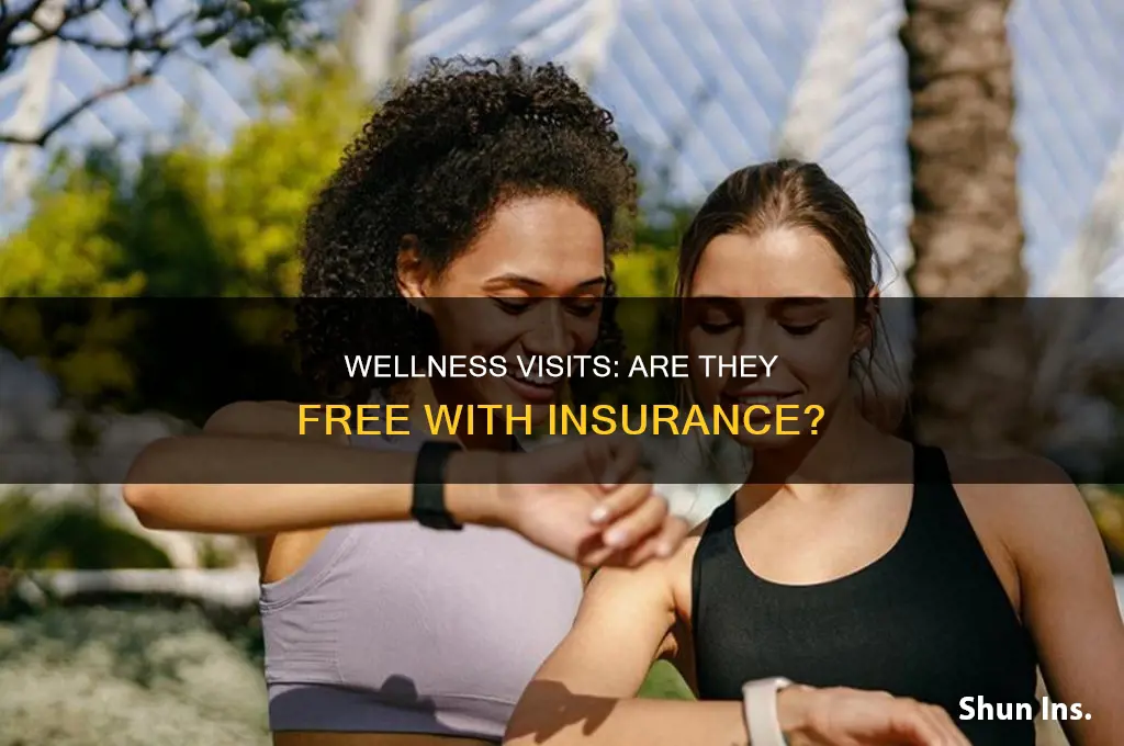 are wellness visits free with any insurance