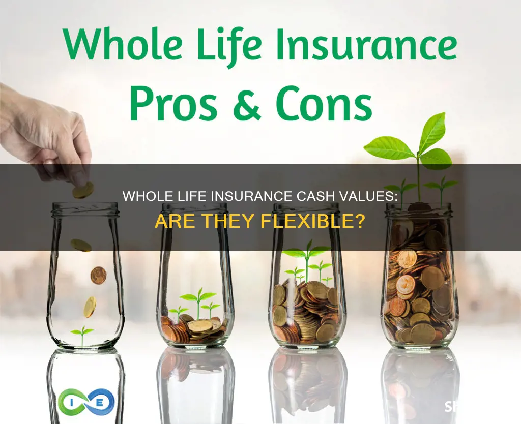 are whole life insurance cash values negotiable