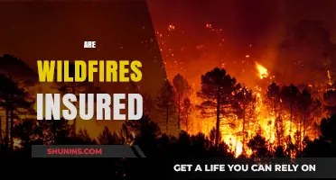 Wildfire Insurance: What's Covered and What's Not?