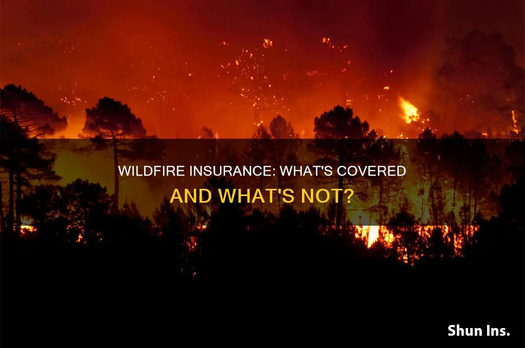 are wildfires insured