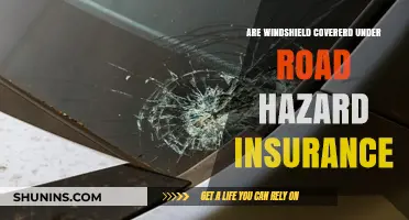 Windshield Damage: Is Road Hazard Insurance Enough?