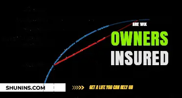 Wix Website Owners: Are You Insured Against Risks?