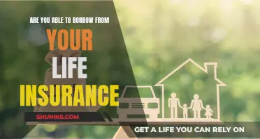 How to Borrow Money Using Your Life Insurance