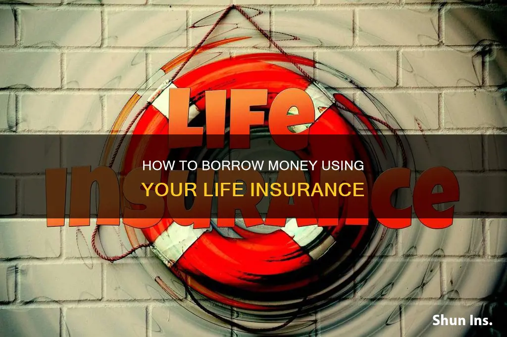 are you able to borrow from your life insurance