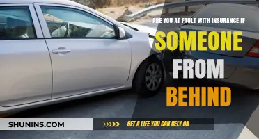 Rear-End Collisions: Who's At Fault and Why?