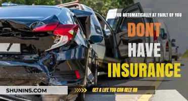 Uninsured and at Fault: What Happens Next?