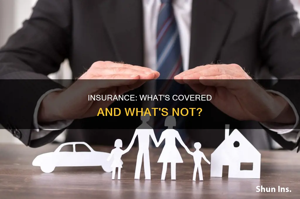 are you insurance