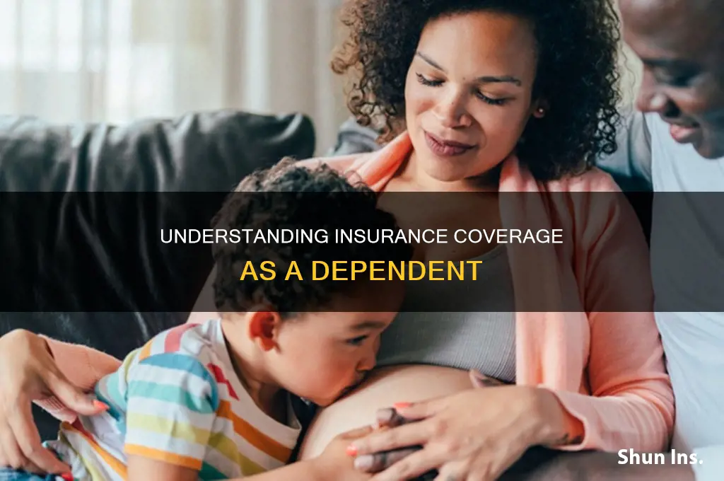are you insured as a dependent