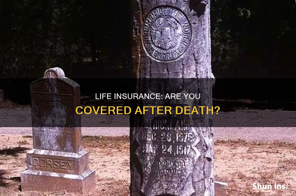 are you insured beyond the grave
