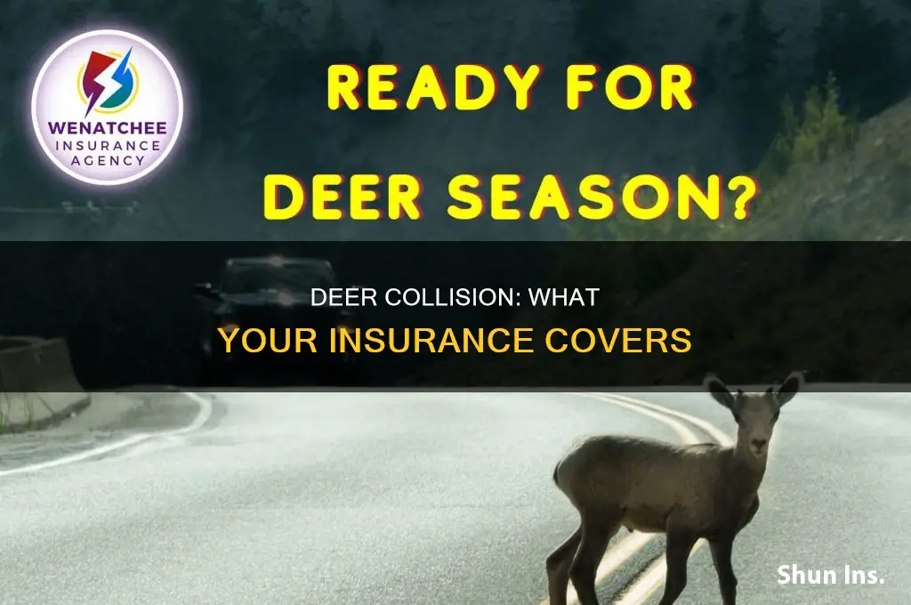 are you insured if you hit a deer